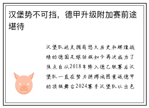 汉堡势不可挡，德甲升级附加赛前途堪待