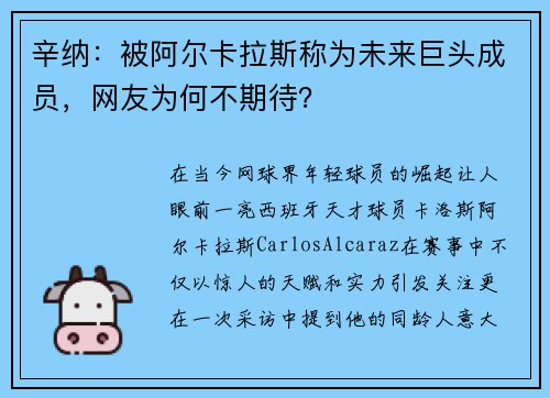 辛纳：被阿尔卡拉斯称为未来巨头成员，网友为何不期待？